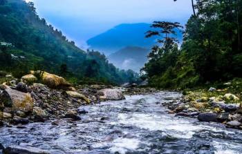 Emerald North Bengal with Nature of Sikkim Tour