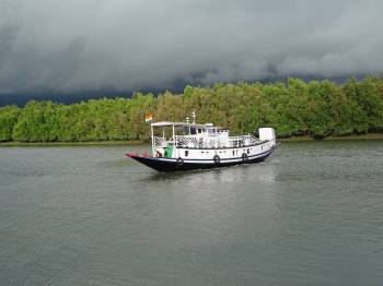 Sundarban Tiger Camp Tour