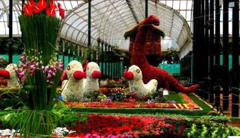 Garden of South India Tour