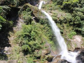 05 days Gangtok with Yumthung Valley Tour