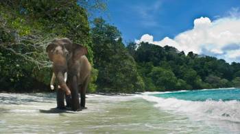 06 Days Exotic Andaman