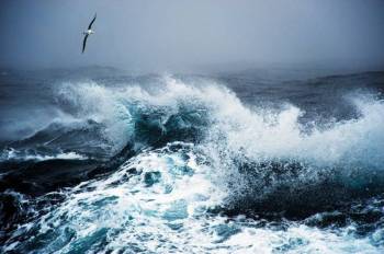 Antarctica Expedtion Cruise