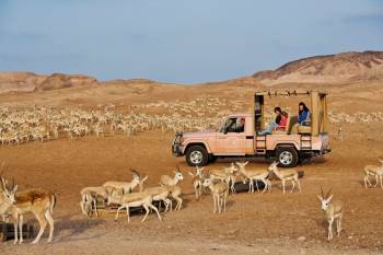 04 Days Iconic Arabian Cruise