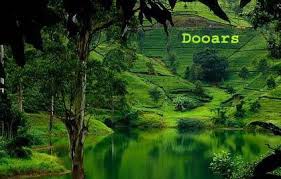 Dooars Tour Packages – Provasin Holidays