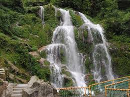 Delight Gangtok & Pelling Tour