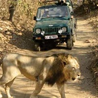Packages in Somnath