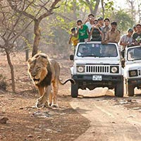 Wildlife & Beach Tour