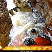 Wildlife & Beach Tour