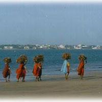 Best of somnath package