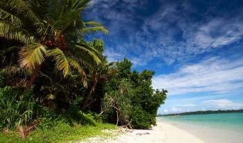 Packages in Havelock