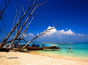 Packages in Havelock