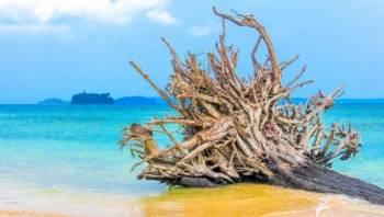 Andaman Adventures Package 8 Night - 9 Days