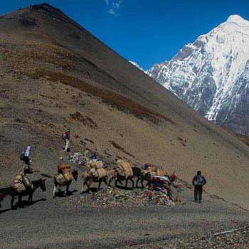 Laya Gasa Trekking Tour