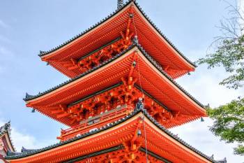 7 Night - 8 Days Pre Cherry - Blossom Japan Tour