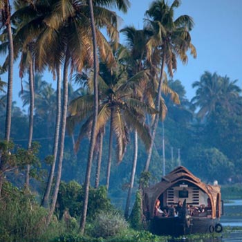 Kerala Coconut Holidays Tour