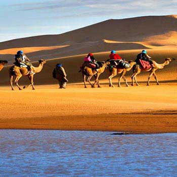 Camel Safari in Rajasthan Tour
