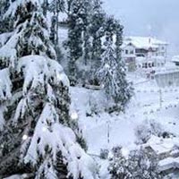 Tour to Himachal Package