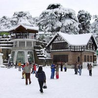 Shimla Calling Tour