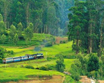 Ooty Special Tour Hotel Only 6 Nights 7 Days