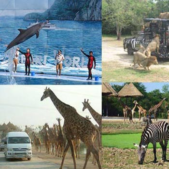 Safari World & Marine Park