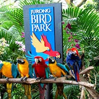 Jurong Bird park