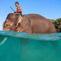 Stay = 2 Nights (Port Blair), 2 Nights (Havelock) Tour