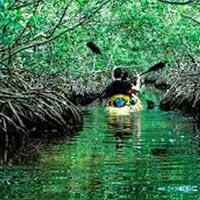 Stay = 4 Night (Port Blair), 1 Night (Havelock) & Neil Island (Day trip) Tour