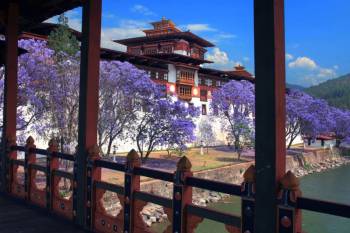 4 Nights 5 Days Bhutan Tour from Phuntsholing