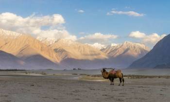 LEH LADAKH TOUR 3N / 4D