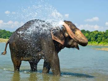 NEPAL Golden Triangle City Tour 7 NIGHT 8 DAYS