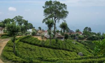 Ramayana Trail with Sankari Devi Shakti Peetam - Best of Sri Lanka Tour