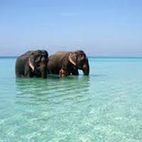 Andaman Holiday Flight Tour Package (4N 5D)