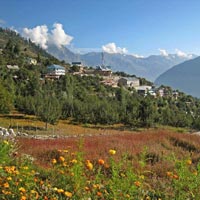 Natural Beauty of Himachal Pradesh Tours