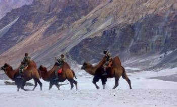 Best of Ladakh Package