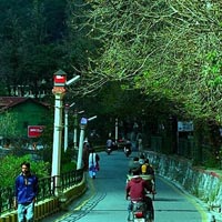 Delhi - Nainital - Delhi Tour