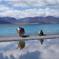 Moon Light Ladakh Tour