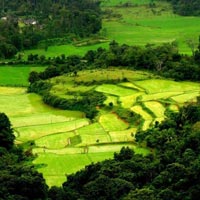 Delightful Coorg with Kabini Tour