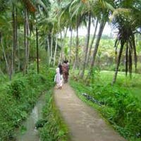 Treasures of Kerala Tour