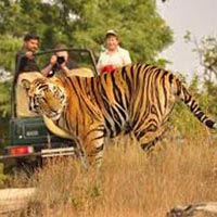 Kanha Tour Package