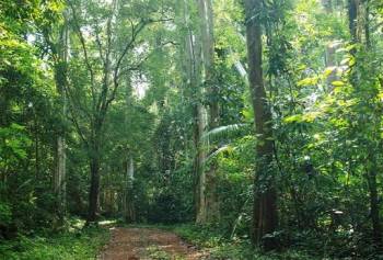 4 Nights 5 Days Phu Quoc Tour Package | Beaches, Island Hopping & Sightseeing