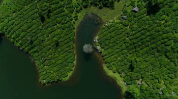 Packages in Thekkady