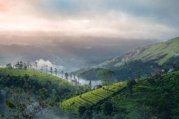 Kerala 5Night - 6Days Tour Package