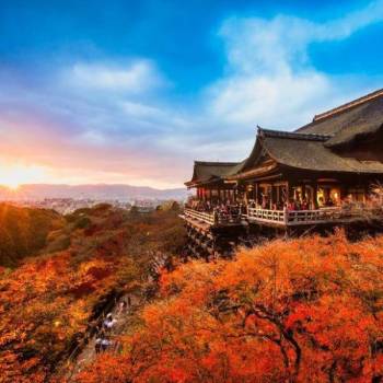 Japan 7 Nights / 8 Days Tour Package