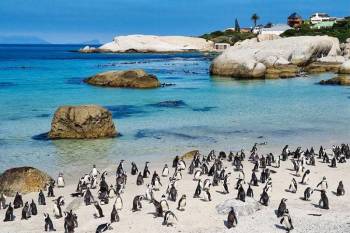 South Africa 12 Days / 11 Nights Cape Town - Garden Route - Knysna - Kruger Safari - Johanne