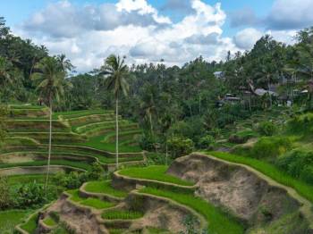 Bali 5 Nights 6 Days Tour Package
