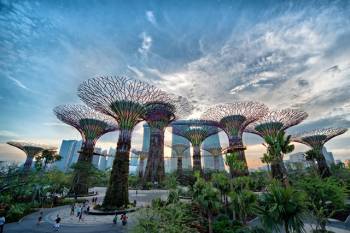 Exclusive Singapore Tour