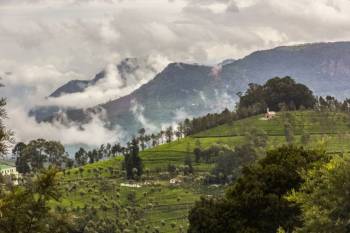 Bangalore Mysore Ooty Tour