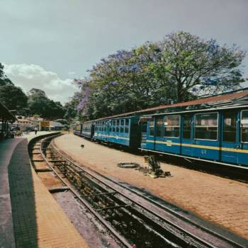 Bangalore Mysore Ooty Tour