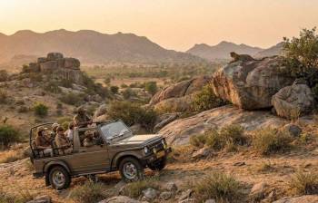 Jawai Leopard Safari Package – 6 Days / 5 Nights