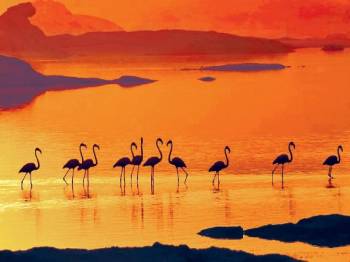 Jawai Leopard Safari Package – 6 Days / 5 Nights